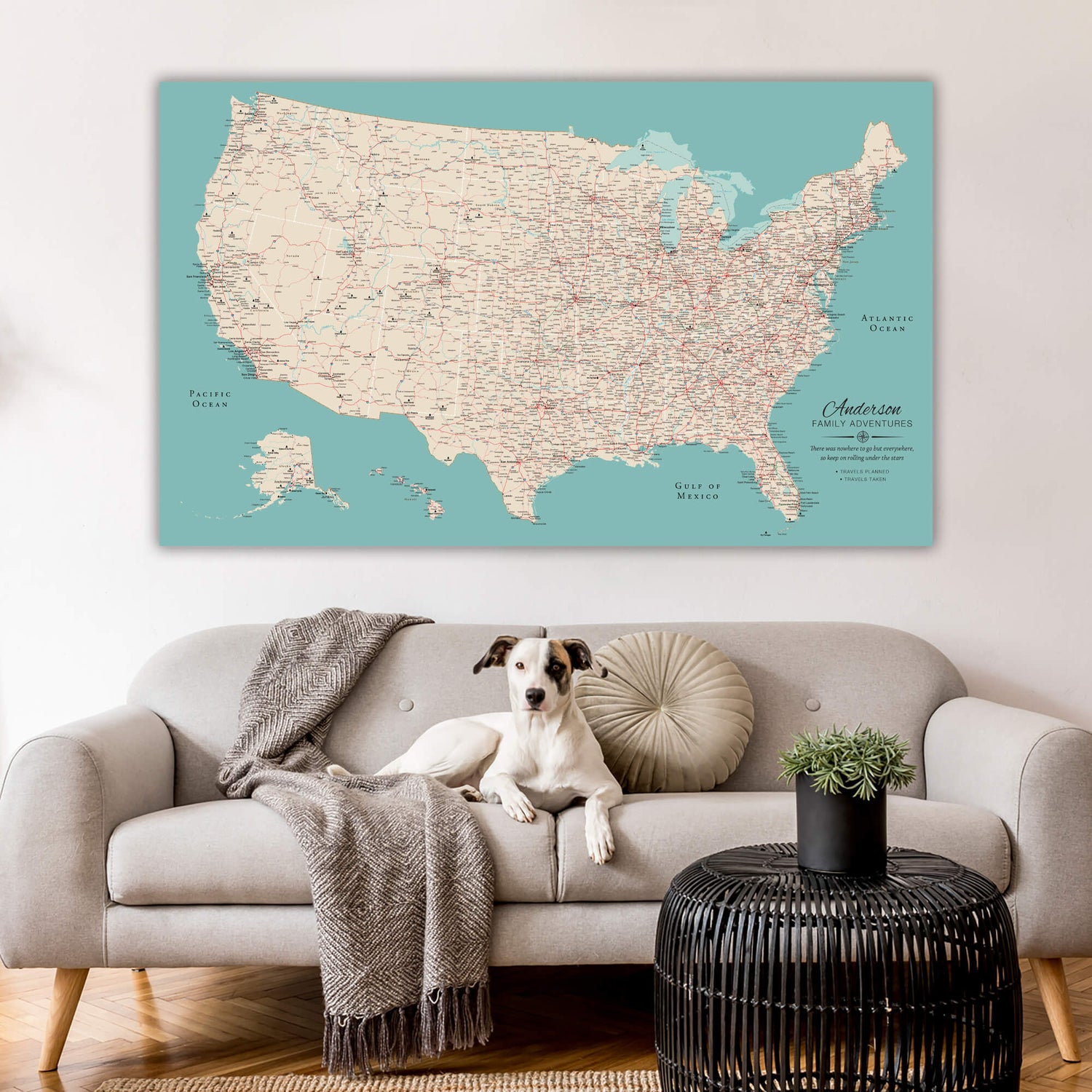 a dog sitting on a couch in front of a map of the united states