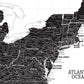 Black & White USA Push Pin Map Single Panel