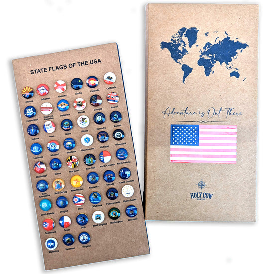 Flags of the United States Push Pins, set of 51