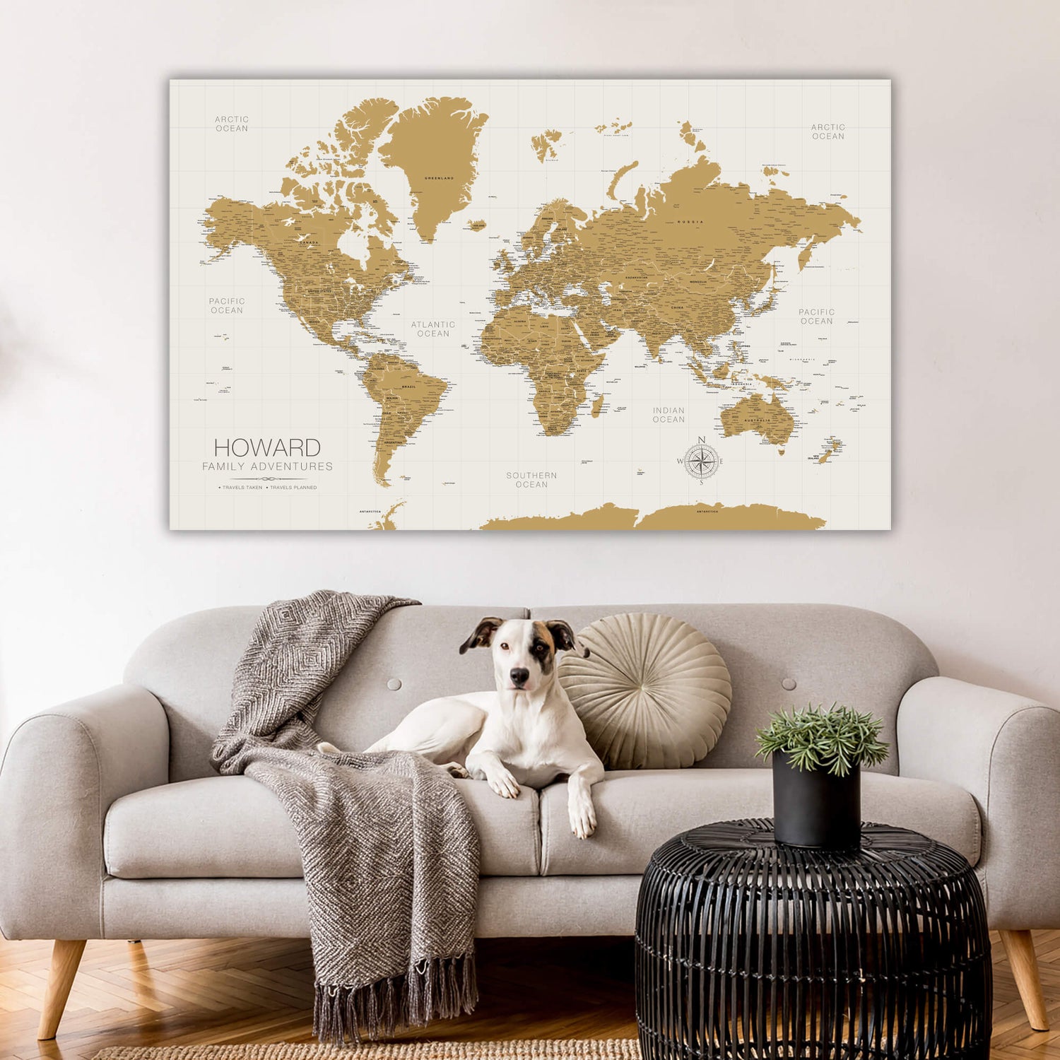 a dog sitting on a couch in front of a world map