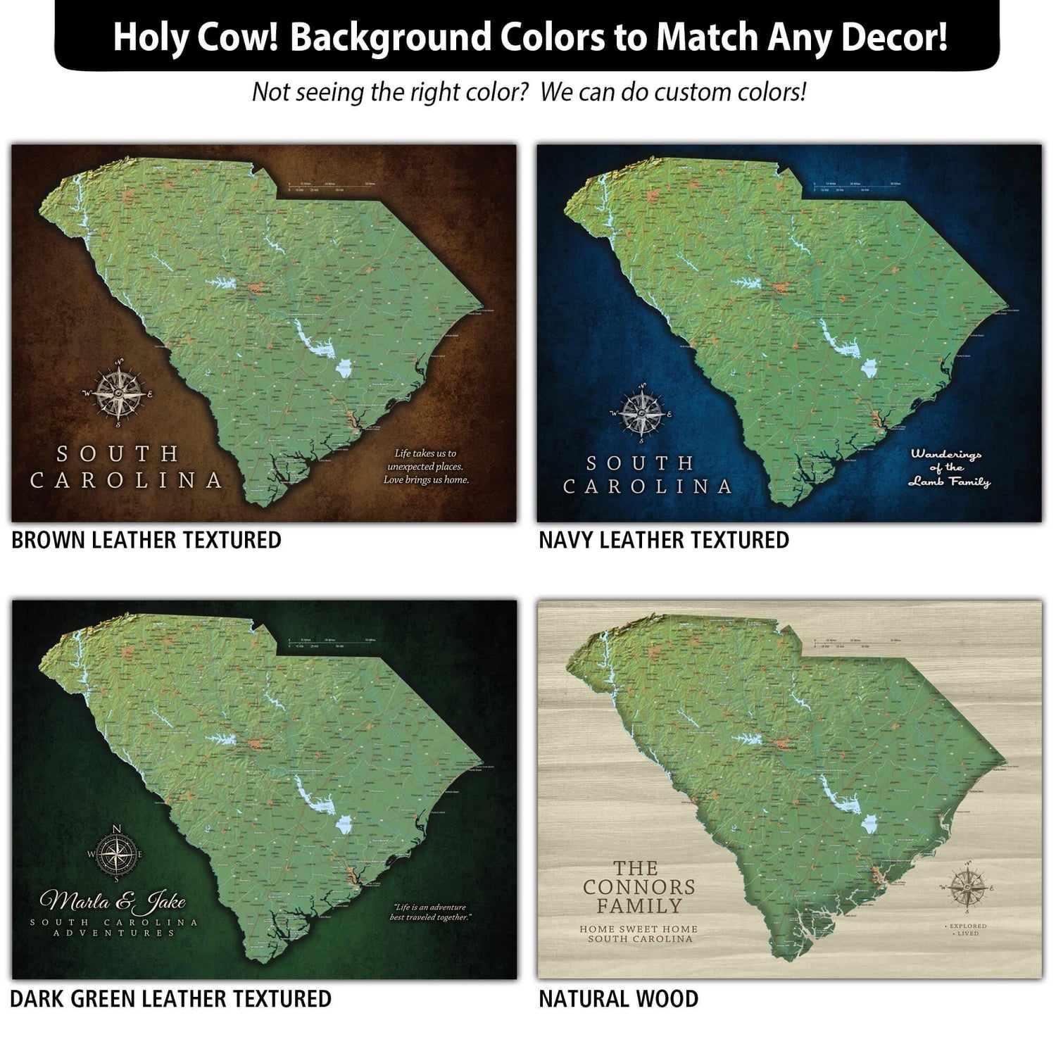 a map of the state of south carolina