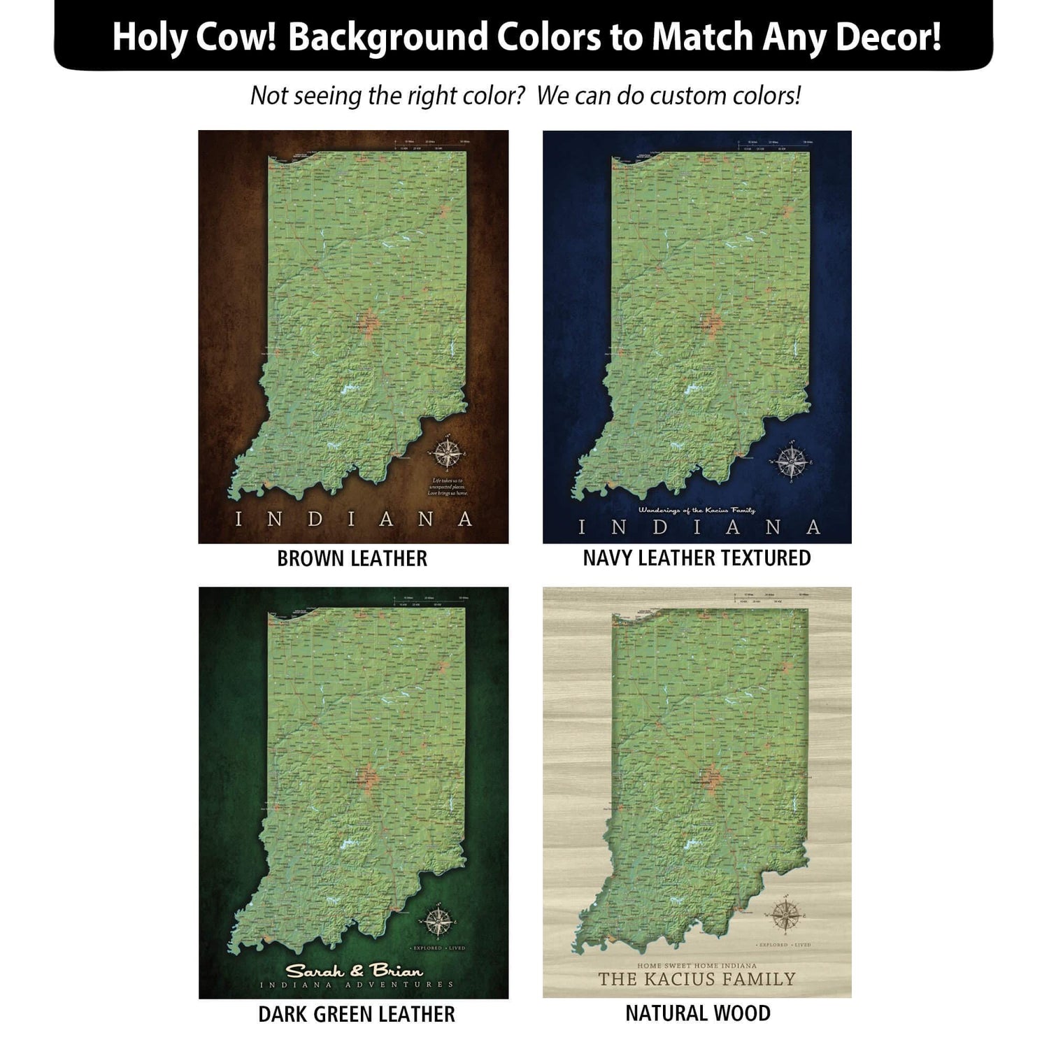 a map of the state of indiana with four different colors