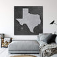 Texas Push Pin Map in Grey