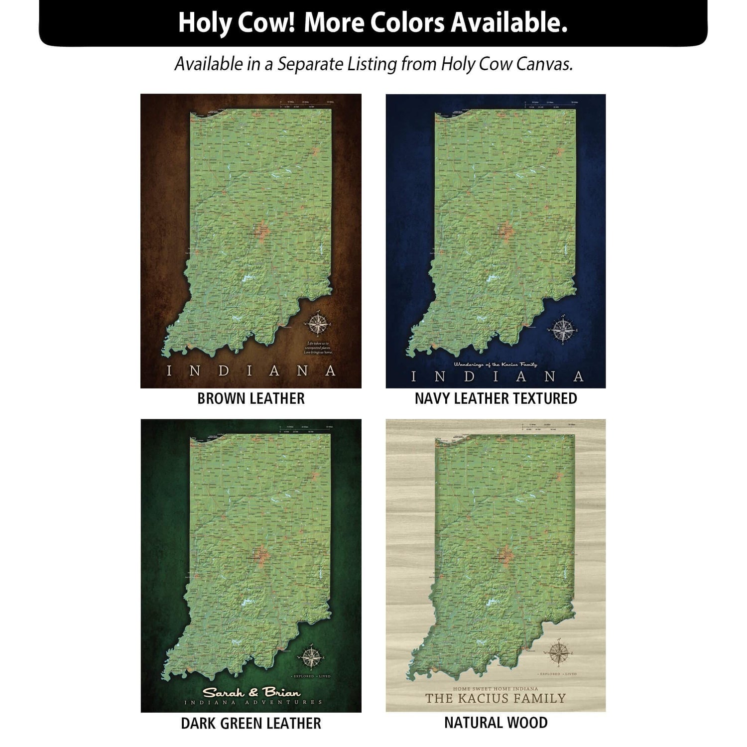 a map of the state of indiana with four different colors