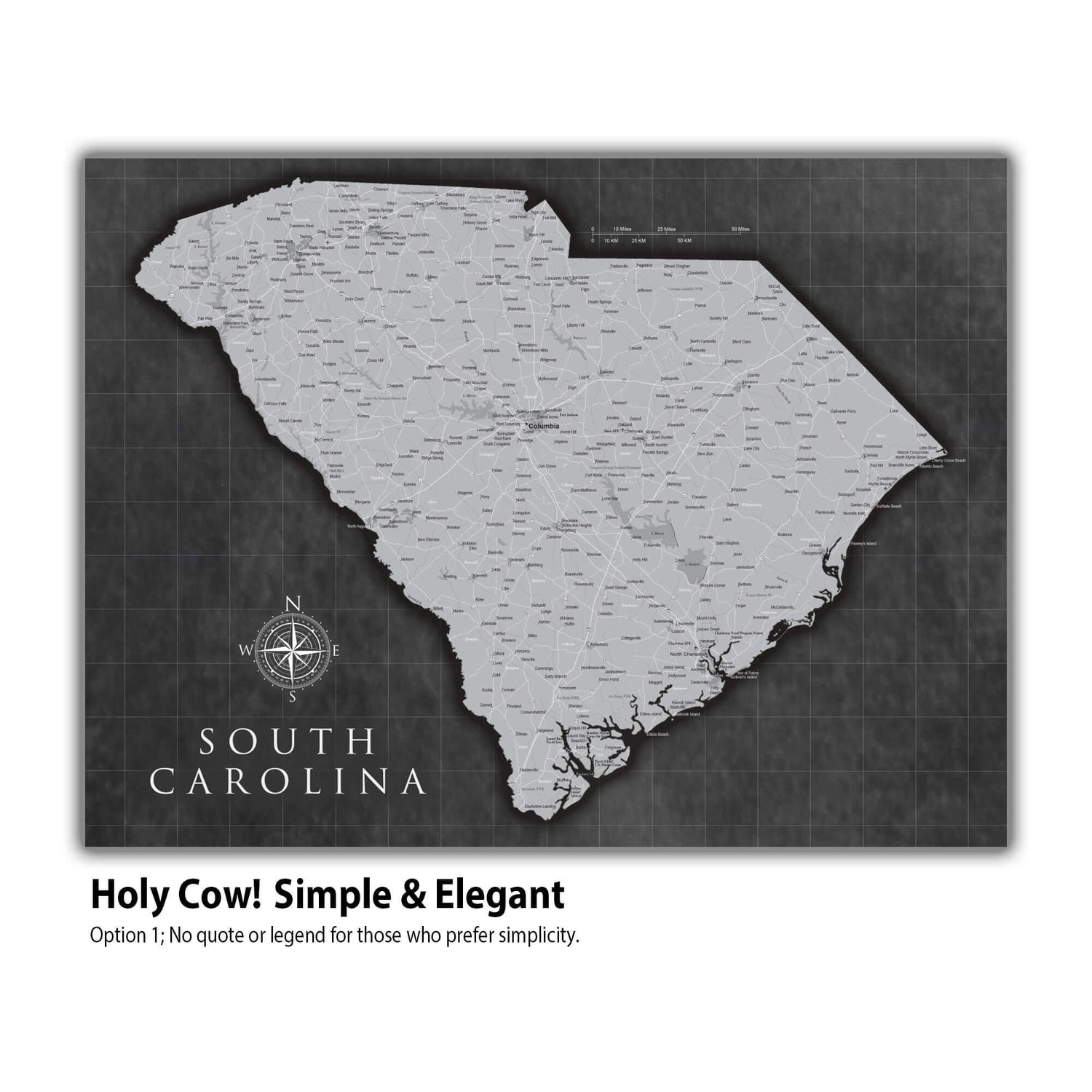 a map of the state of south carolina