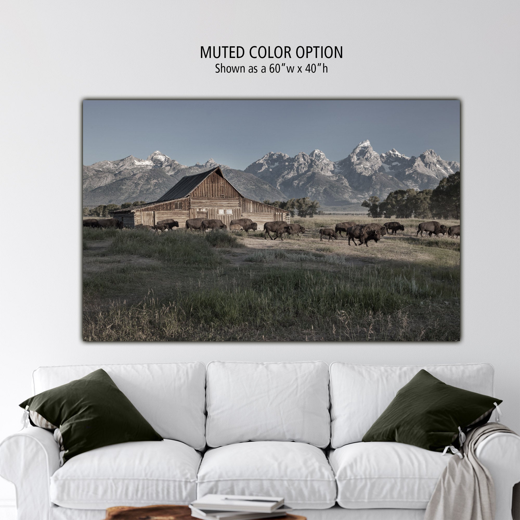 Grand Teton National Park 16x20 Canvas Print, Jackson Hole Wyoming Mountain  Decor Wall Art 